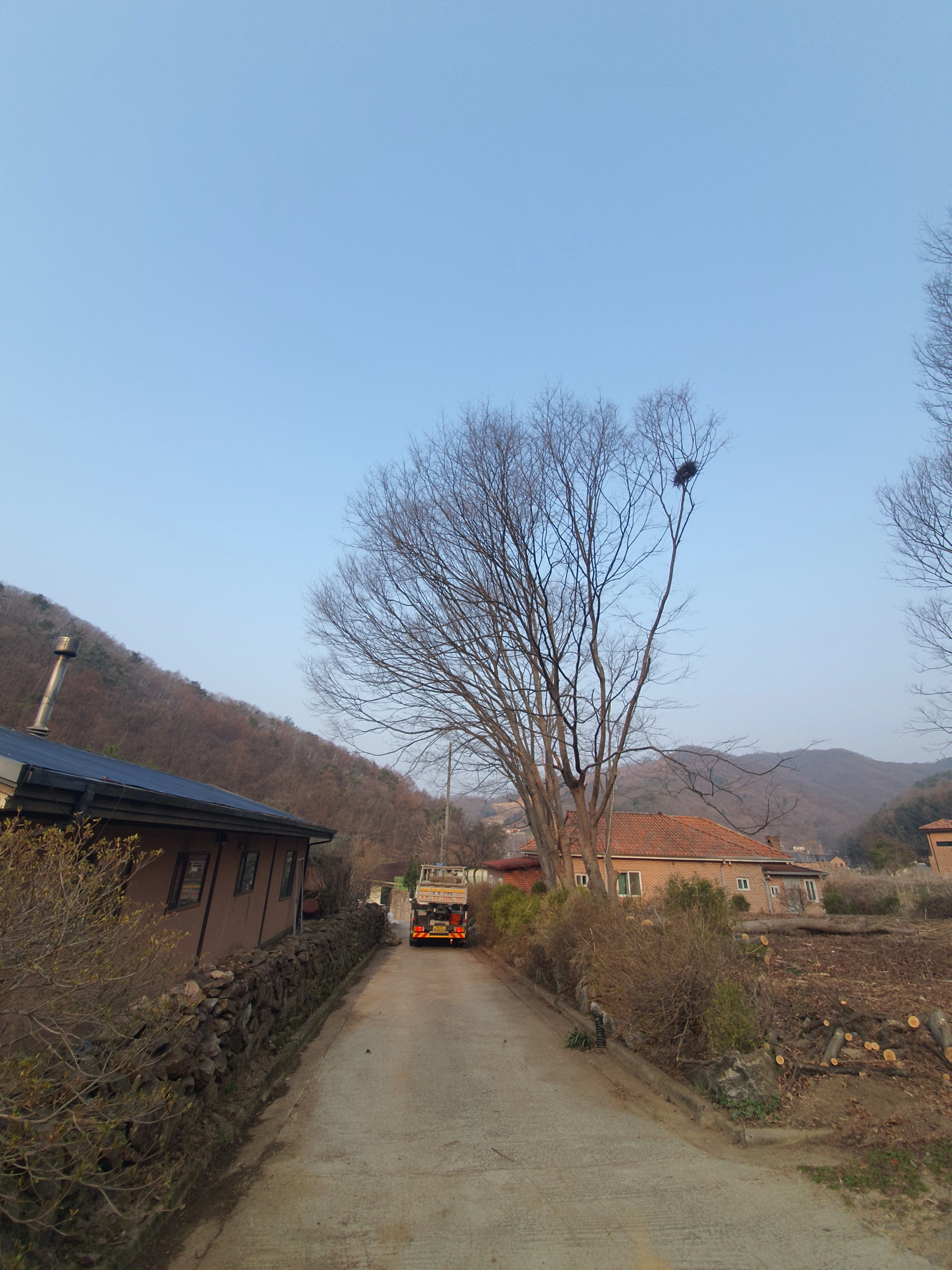 나무벌목 — 나무벌목, 현장 여건에 맞게 진행합니다 보배종합건설 작업 현장