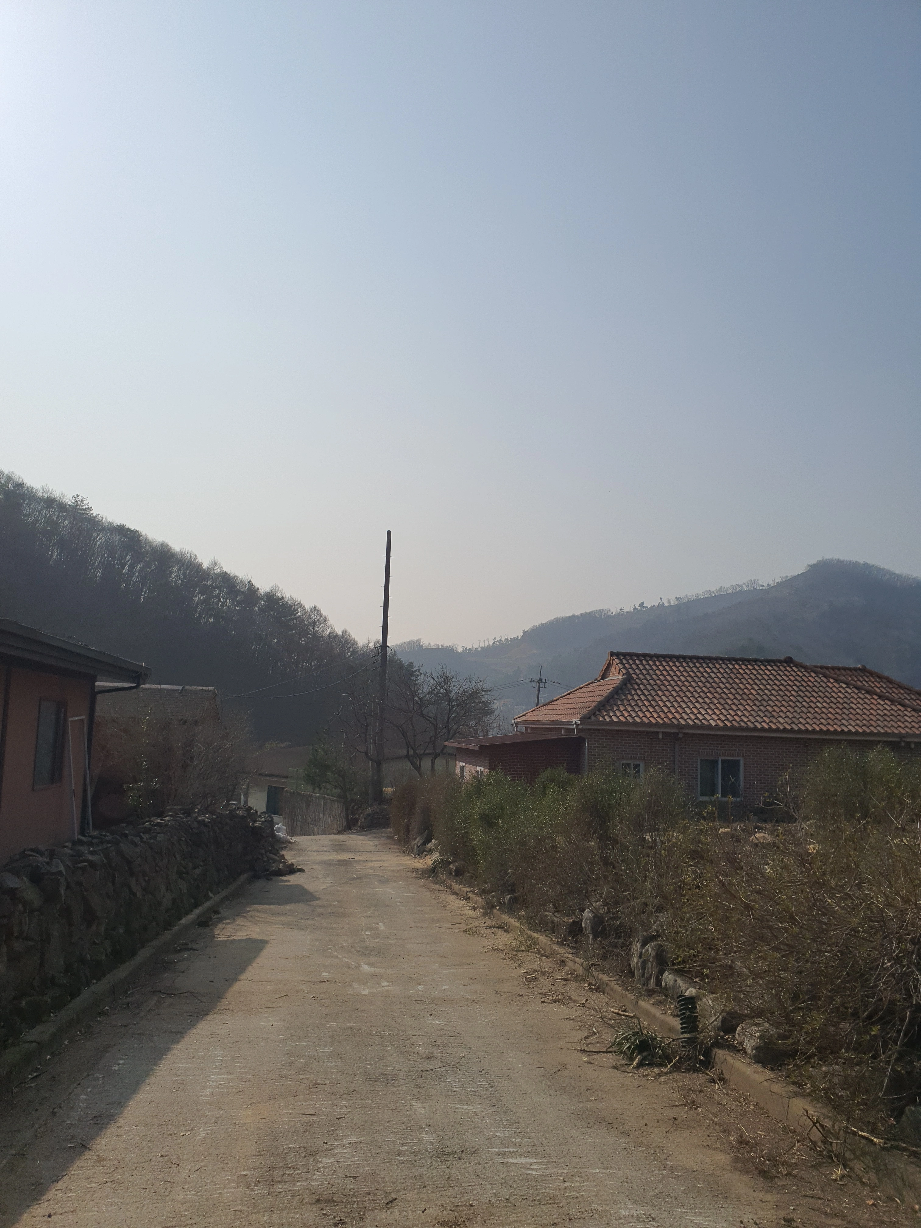 벌목 작업 시공 사례 — 보배종합건설