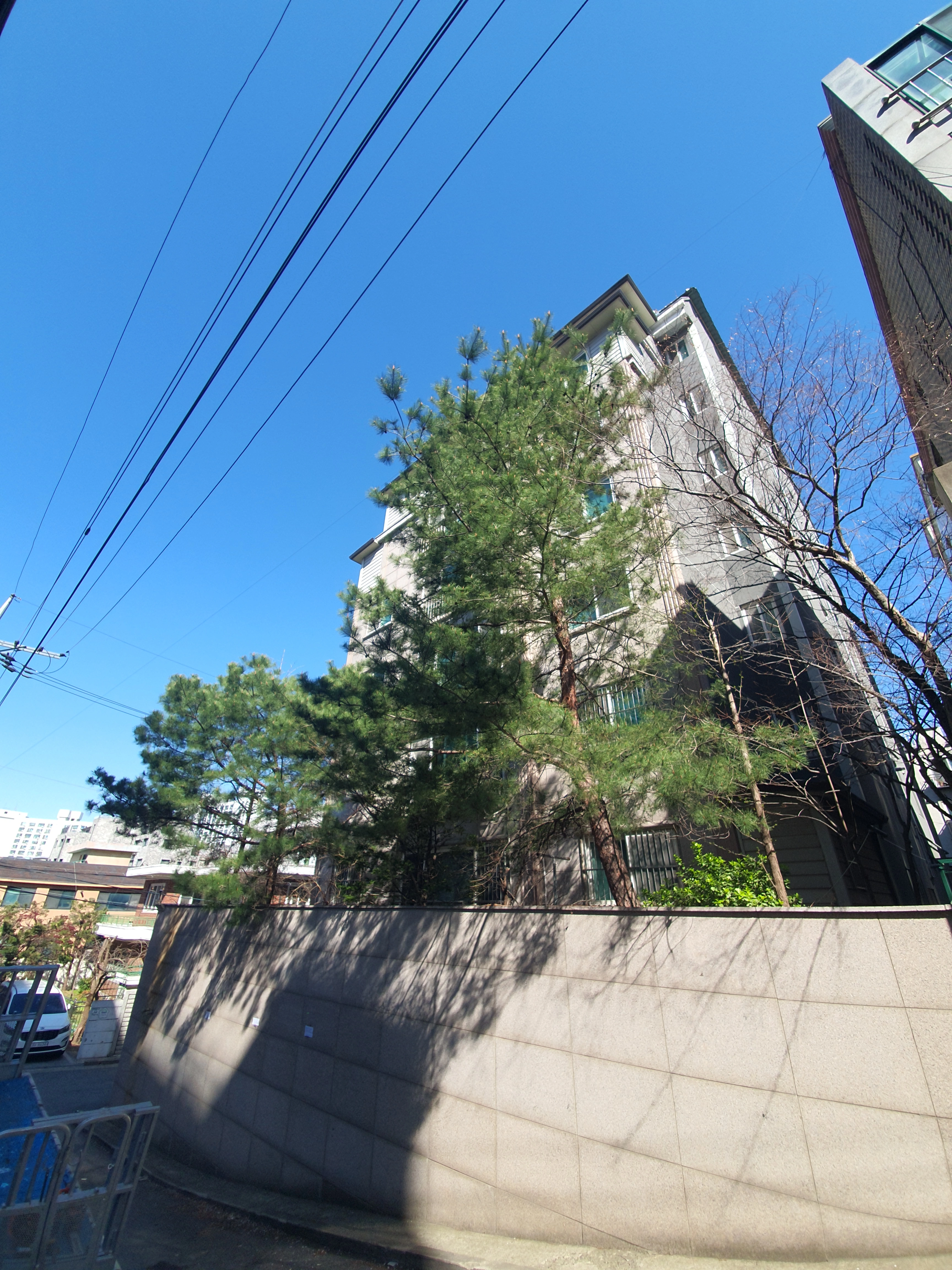 보배종합건설 수목제거 작업 방식 현장 사진 — 경기·서울·인천