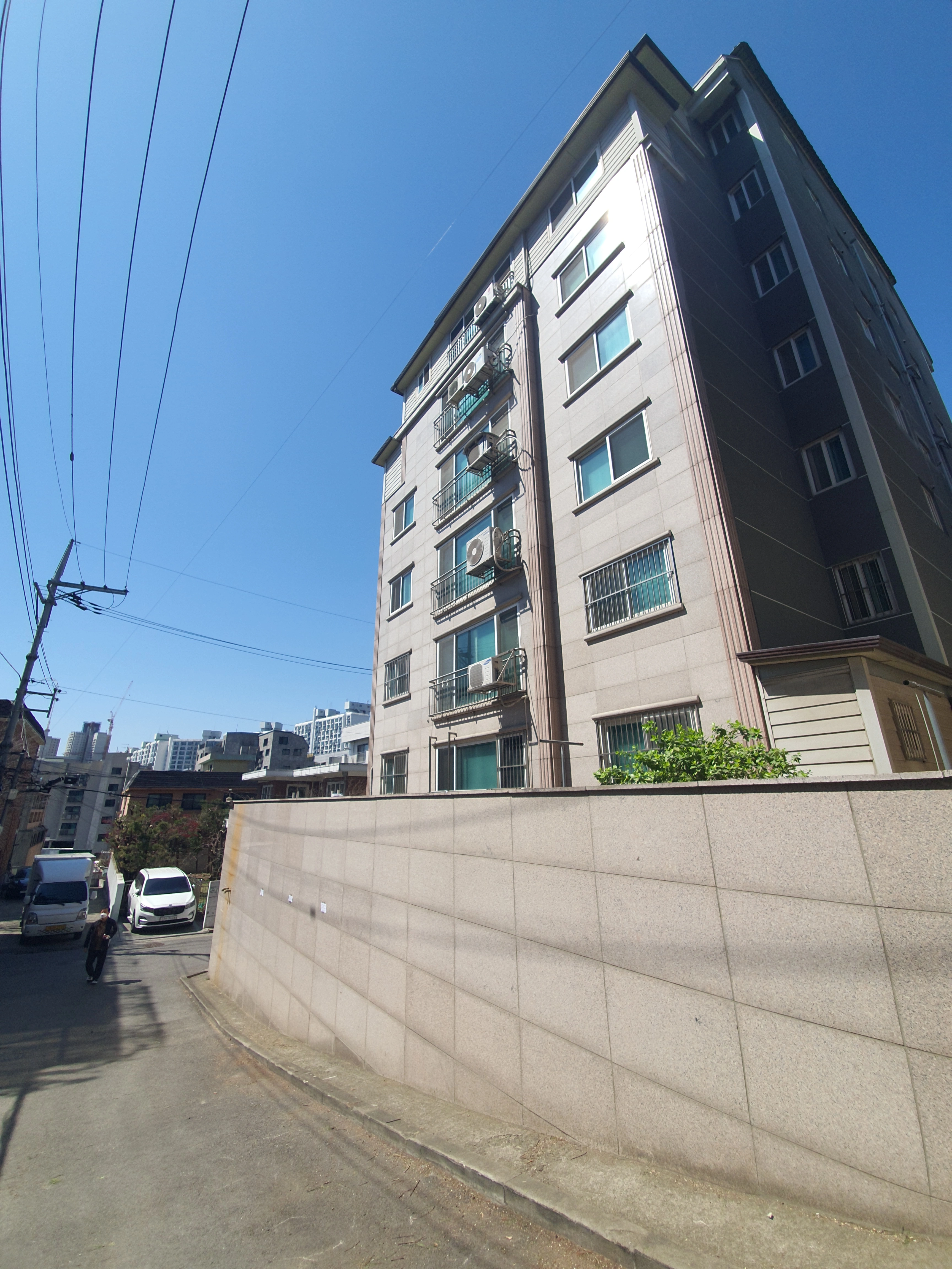 수목제거 — 수목제거, 수종과 규모에 맞는 방법으로 진행합니다 보배종합건설 작업 현장