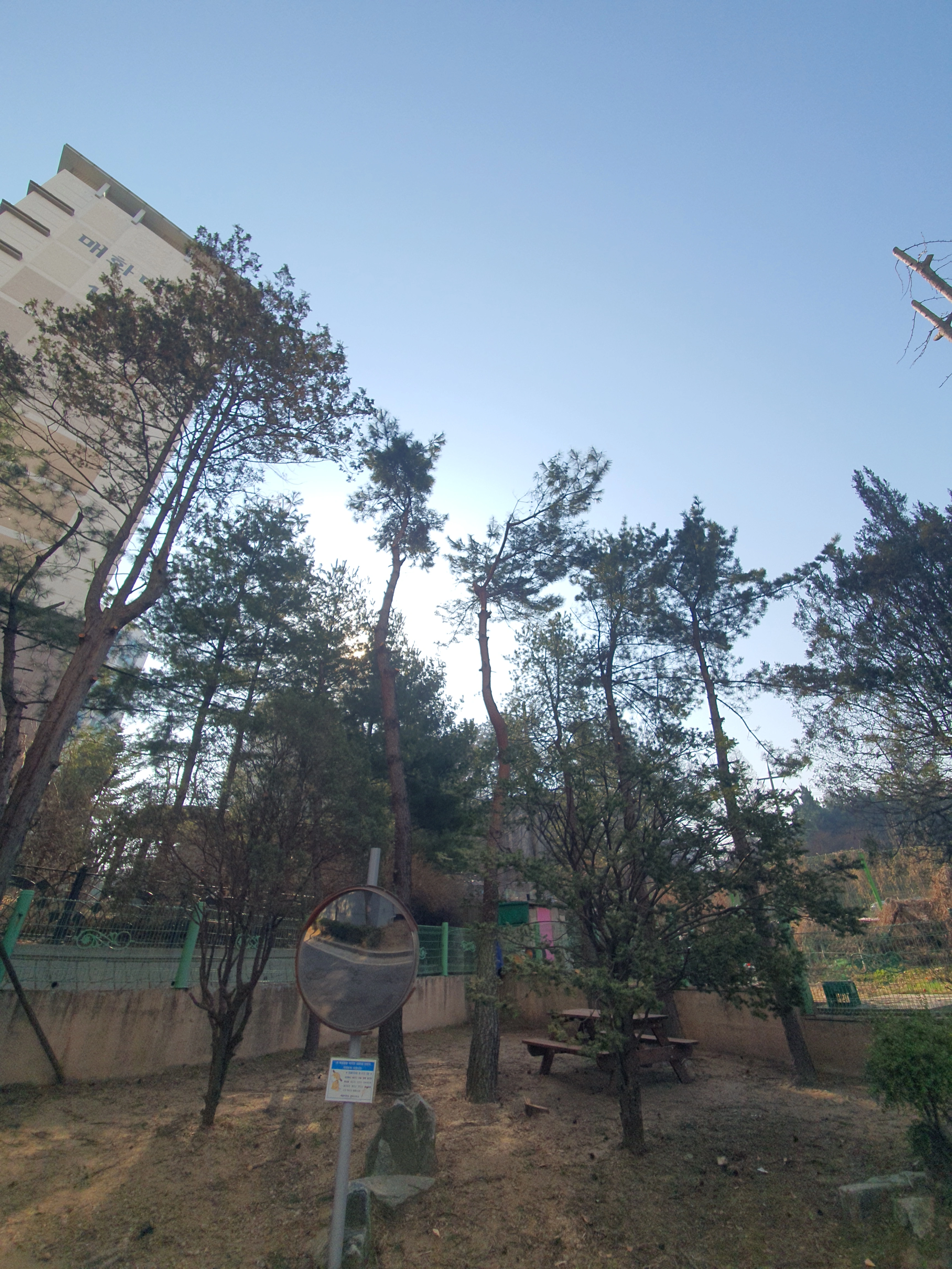 가지치기 시공 사례 — 보배종합건설