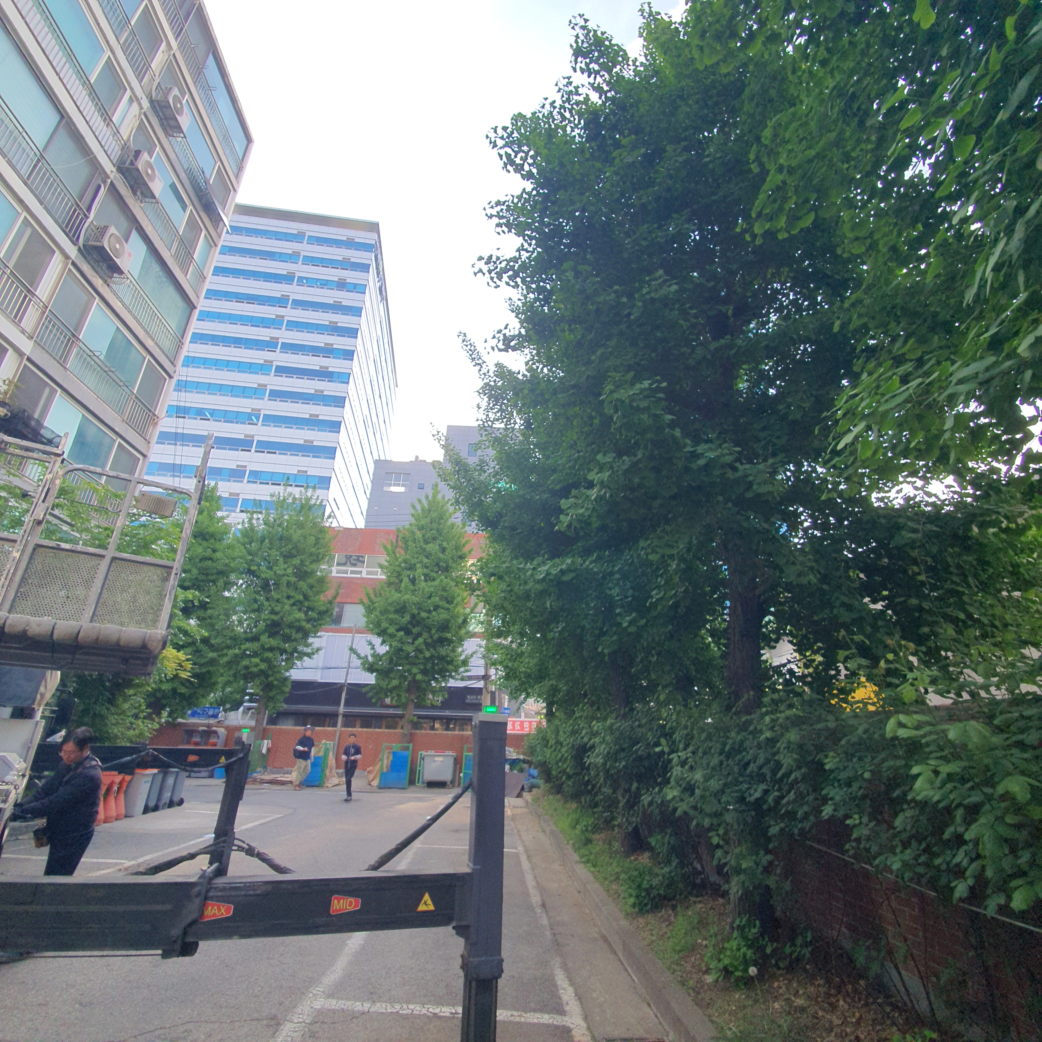 수목제거 시공 현장 — 보배종합건설